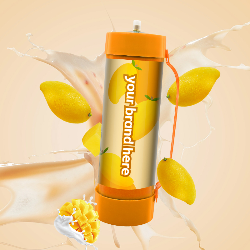 2PCS N2o Cream Chargers Whip - Non-Flammable Gas for Culinary Creations